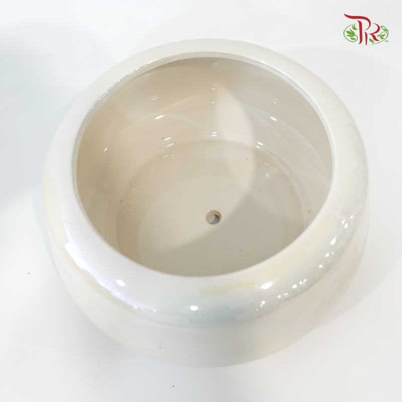 JZ-DW24178 Pot