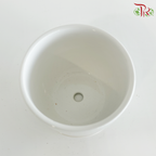 JZ-DW24013-2 - Pot (JZ-DW24013-2)
