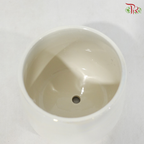 JZ-DW24179 Rainbow Chrome Pot