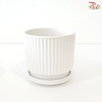 JZ-DW24187 Pot (With Color Option)