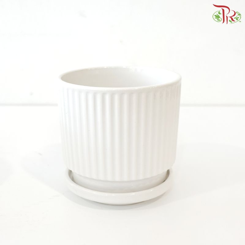 JZ-DW24187 Pot (With Color Option)