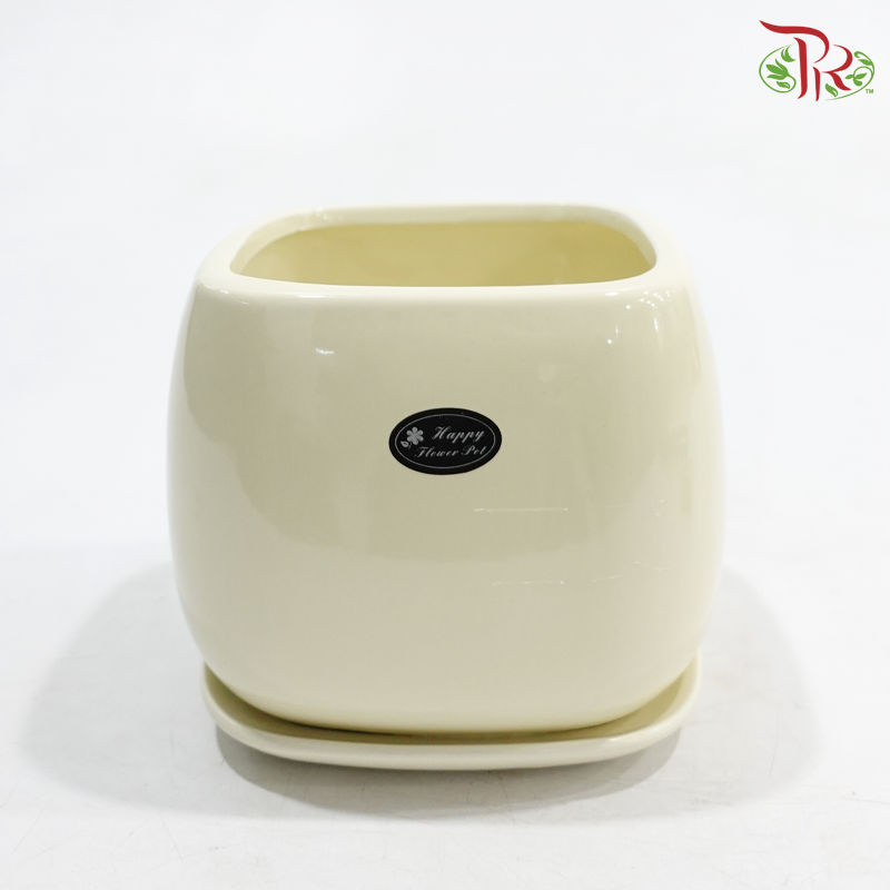 JZ-DW36-0229 - Asst Pot (JZ-DW36-0229) (With Colour Options)