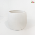 JZ-DW36 24180-1 - White Pot