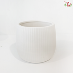 JZ-DW36 24180-1 - White Pot