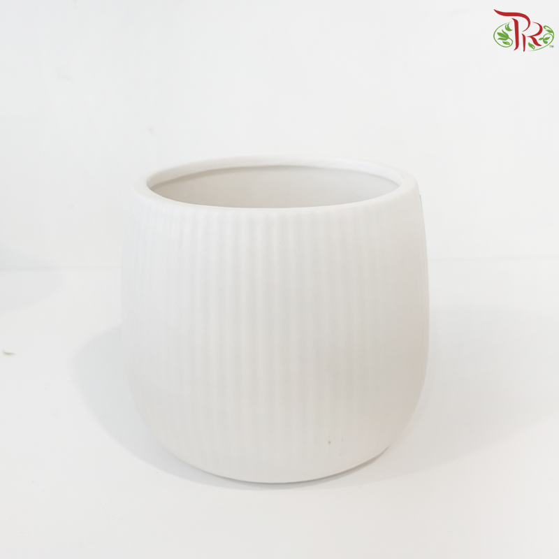 JZ-DW36 24180-1 - White Pot