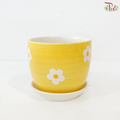 JZ-DW64 24013-7 Pot (With Color Option)