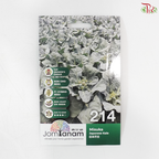 【Jom Tanam Seeds】Vegetable Series (Per Pack) (With Options)