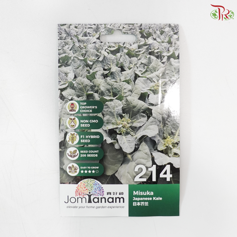 【Jom Tanam Seeds】Vegetable Series (Per Pack) (With Options)