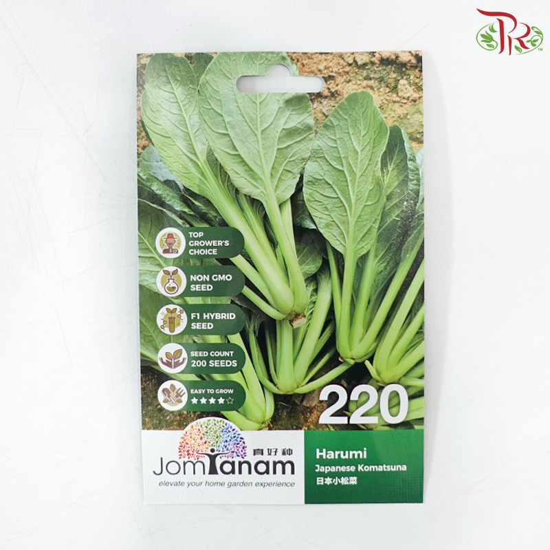【Jom Tanam Seeds】Vegetable Series (Per Pack) (With Options)