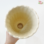 KLY-H-10L Beige Pot