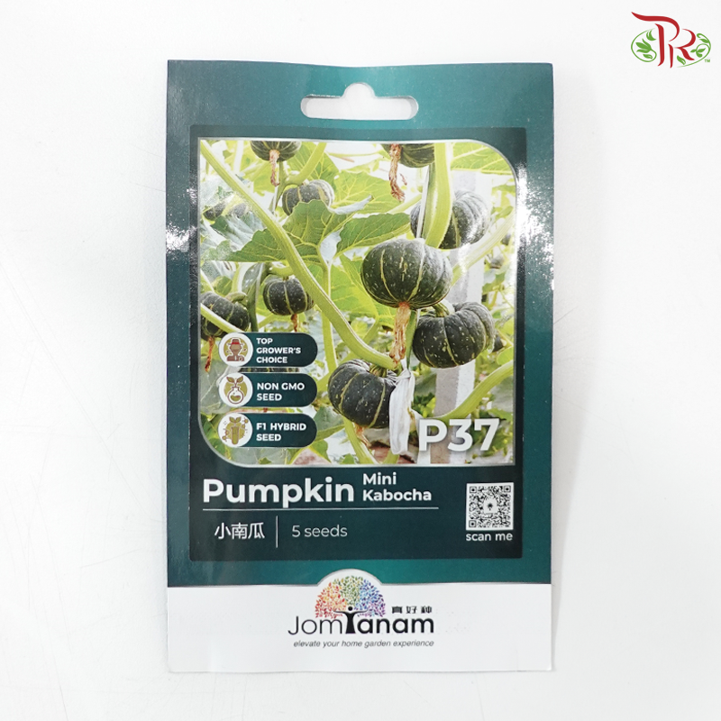 【Jom Tanam Seeds】Fruity Vegetable Series - Others (Per Pack) (With Options)
