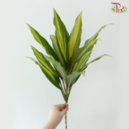 Kiwi Leaf (5 Stems)
