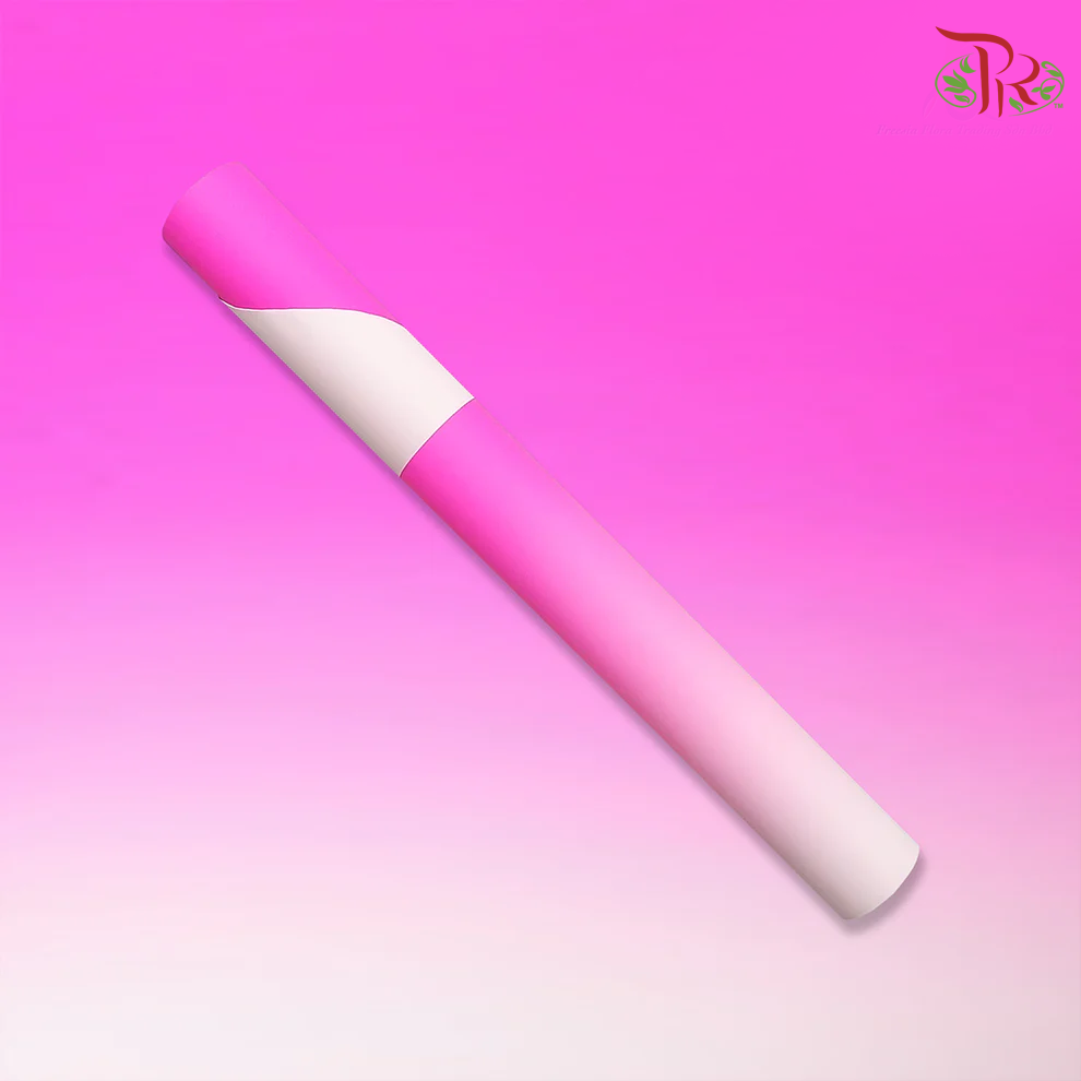 Korea K2 3 Tones Colors