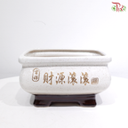 LB15-D-151 - White Pot