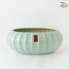 LF-658 Green Pot