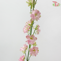Delphinium Consolida (Larkspur) - Pink (5 Stems)