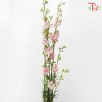 Delphinium Consolida (Larkspur) - Pink (5 Stems)
