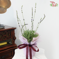 【GIft Series】A Touch of Lavender for You 予你一片薰色温柔 (Lavender Plant)
