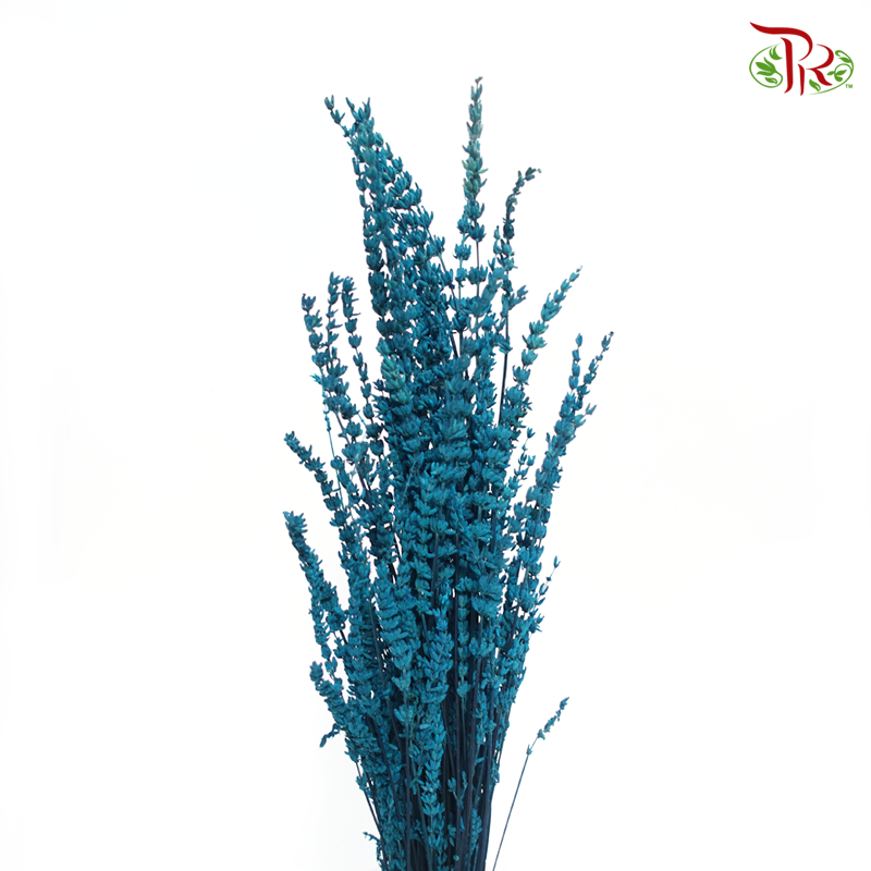 Dry Lavender - Dark Turquoise (Per Bunch) - Pudu Ria Florist
