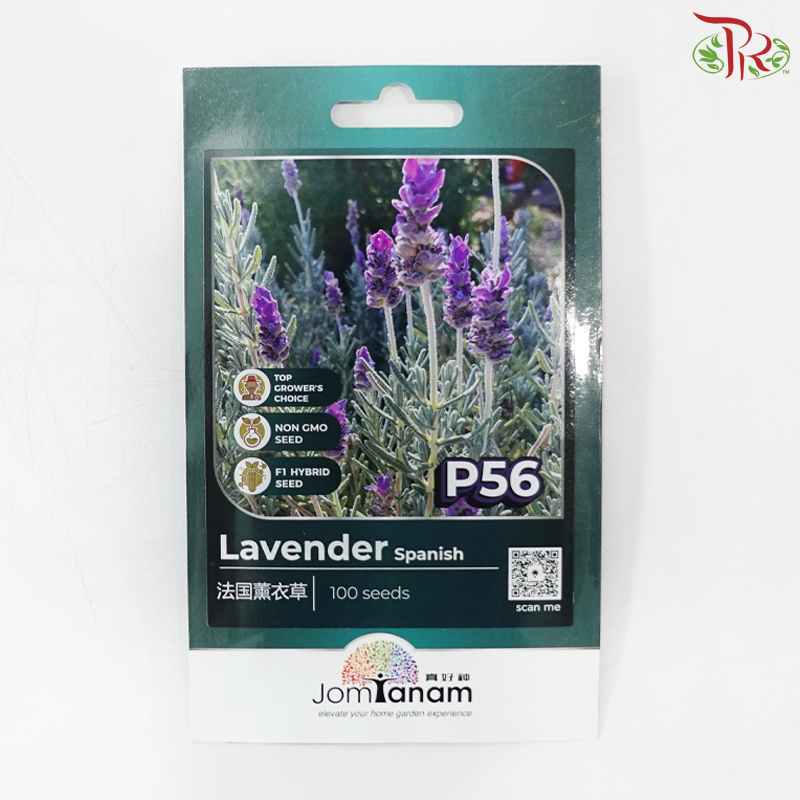 【Jom Tanam Seeds】Herbs Series (Per Pack) (With Options)