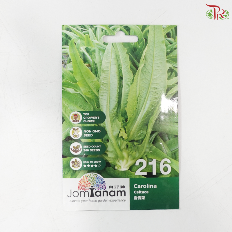 【Jom Tanam Seeds】Vegetable Series (Per Pack) (With Options)