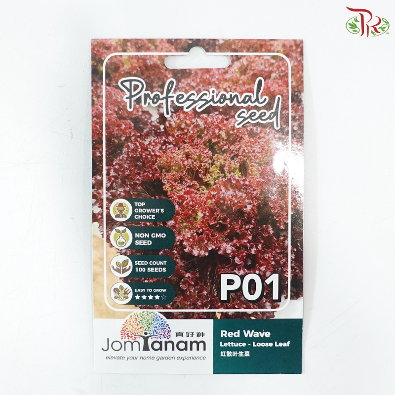 【Jom Tanam Seeds】Vegetable Series (Per Pack) (With Options)