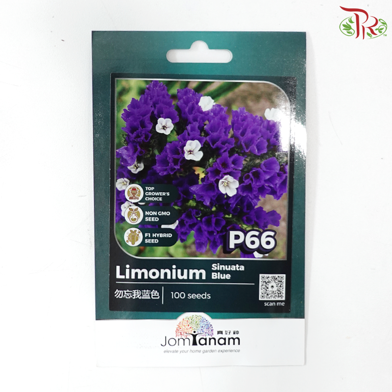 【Jom Tanam Series】Flower Series (Per Pack) (With Option)