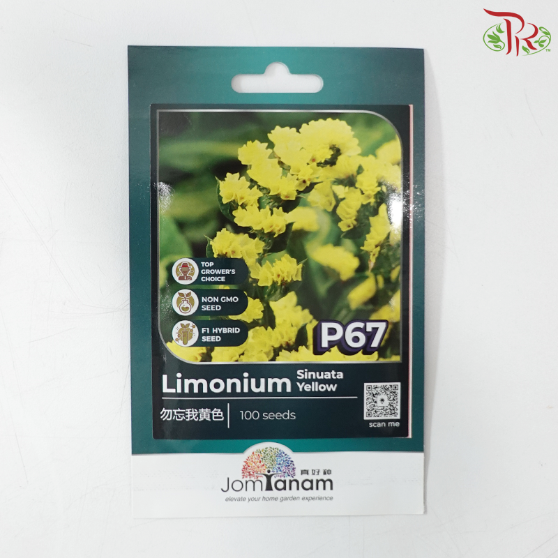 【Jom Tanam Series】Flower Series (Per Pack) (With Option)
