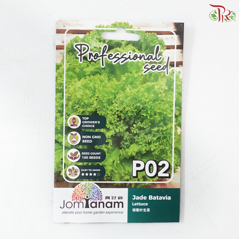 【Jom Tanam Seeds】Vegetable Series (Per Pack) (With Options)