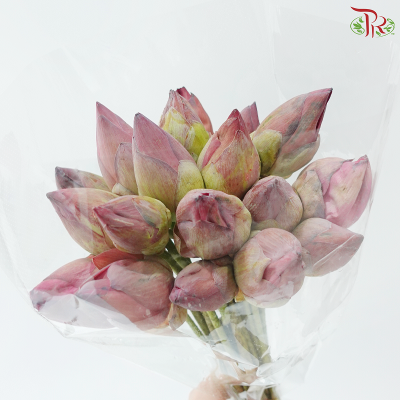 Pink Lotus Flower Bunch (20 Stems Per Bunch)