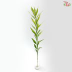 Bamboo Guan Yin - Green With Lining