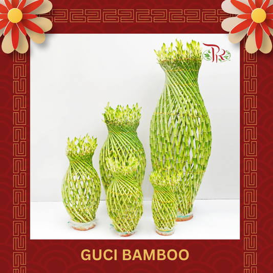 Guci Bamboo《猪笼入水》