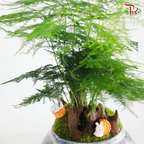 【Gift Series】Moon Rabbit Fortune《月兔招财》(Random Choose Gardening Miniature)