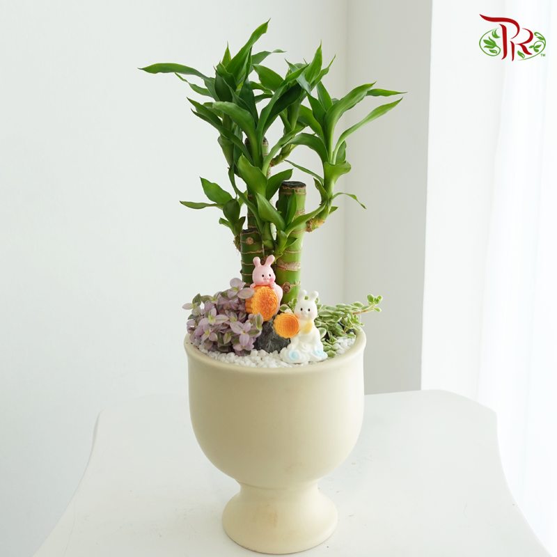 【Gift Series】Jade Rabbit Moonlit《玉兔迎月》（Random Choose Gardening Miniature)