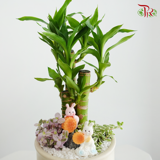 【Gift Series】Jade Rabbit Moonlit《玉兔迎月》（Random Choose Gardening Miniature)