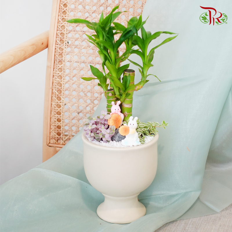 【Gift Series】Jade Rabbit Moonlit《玉兔迎月》（Random Choose Gardening Miniature)