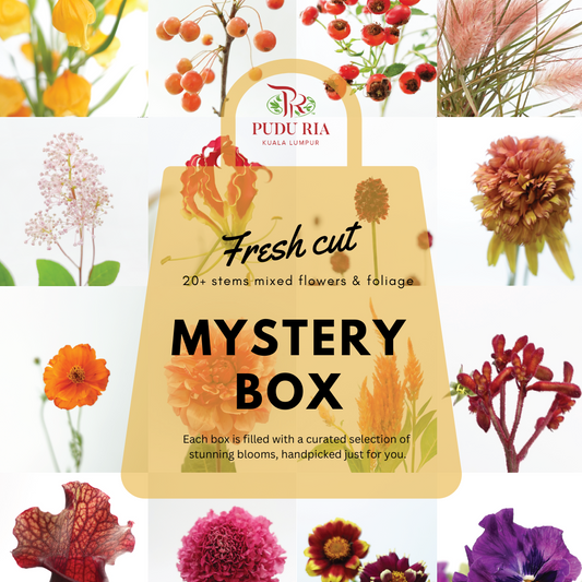 PR Mystery Flower Box (20-30 Stems)