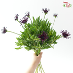 Margarita White Spoon 蓝目菊 - Dark Purple (Per Bunch)