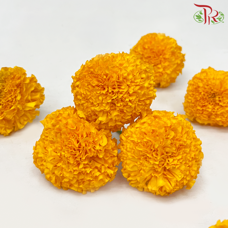 Loose Marigold Flower - Orange (100 Blooms / Bag) - Pudu Ria Florist