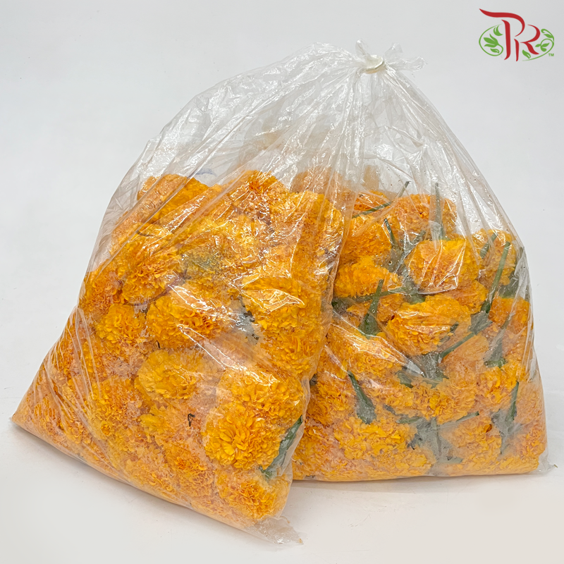 Loose Marigold Flower - Orange (100 Blooms / Bag) - Pudu Ria Florist