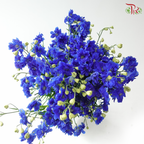 Delphinium Mini Double - Blue (Per Bunch)