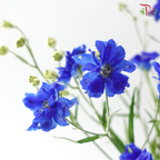 Delphinium Mini Double - Blue (Per Bunch)