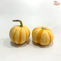 Mini Ornamental Pumpkin (Per Unit)