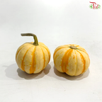 Mini Ornamental Pumpkin (Per Unit)