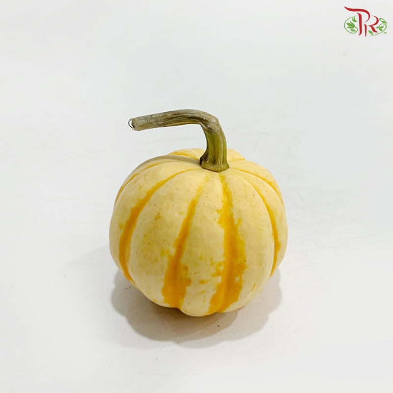 Mini Ornamental Pumpkin (Per Unit)