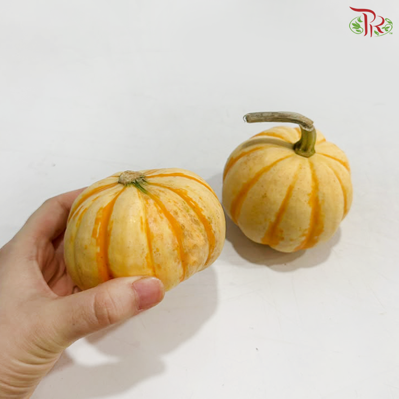 Mini Ornamental Pumpkin (Per Unit)