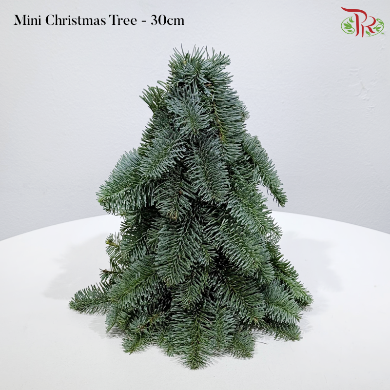 【XMAS 2025】Decorated Mini Christmas Tree (With Size & Design Options)(Pre-Order 2 Days in Advance)