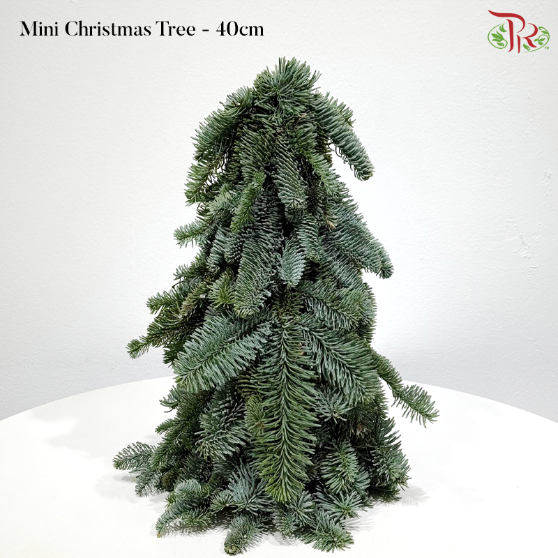【XMAS 2025】Decorated Mini Christmas Tree (With Size & Design Options)(Pre-Order 2 Days in Advance)