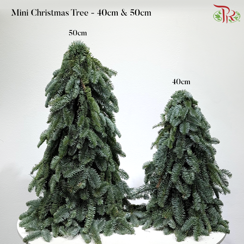【XMAS 2025】Decorated Mini Christmas Tree (With Size & Design Options)(Pre-Order 2 Days in Advance)