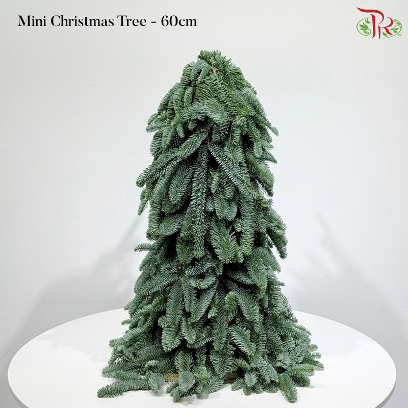 【XMAS 2025】Decorated Mini Christmas Tree (With Size & Design Options)(Pre-Order 2 Days in Advance)